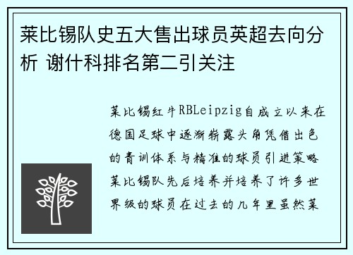 莱比锡队史五大售出球员英超去向分析 谢什科排名第二引关注